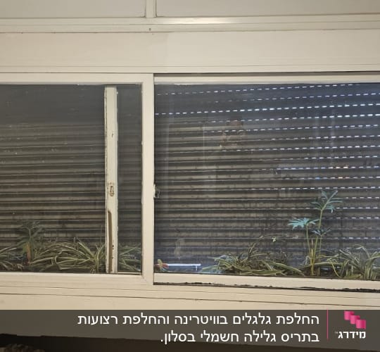 תריסים סגורים מאחורי חלון זכוכית עם צמחייה